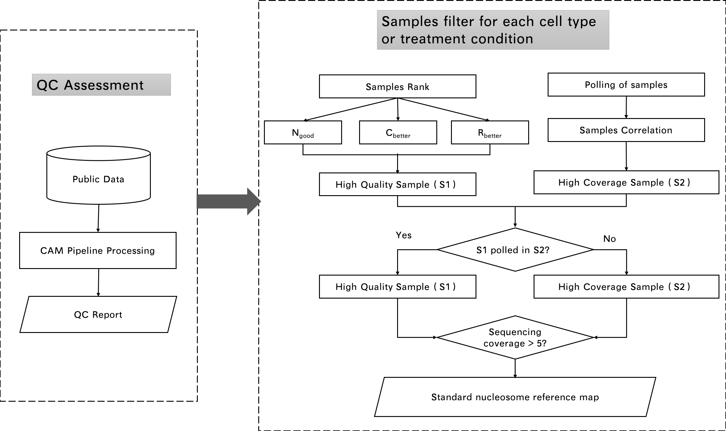 expression analysis